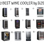 12 Best Wine Cooler By Size