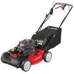 Best Lawn Mower For The Money